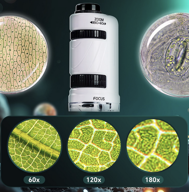 Kids Portable Microscope 60-180x Magnification β Handheld Science Tool for Children, Students