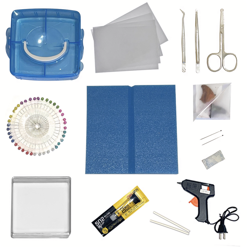 Professional Butterfly Specimen Kit - Complete DIY Insect Mounting Set with Adjustable Spreading Board, Pins, Tools & Display Case - Entomology Starter Kit for Adults & Beginners
